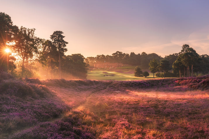 2025 FordParsons Series - St. George's Hill - Wednesday 28th May